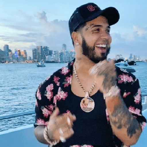 Anuel aa brrrr 2 24