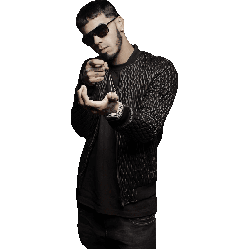 Anuel aa brrrr 2 29