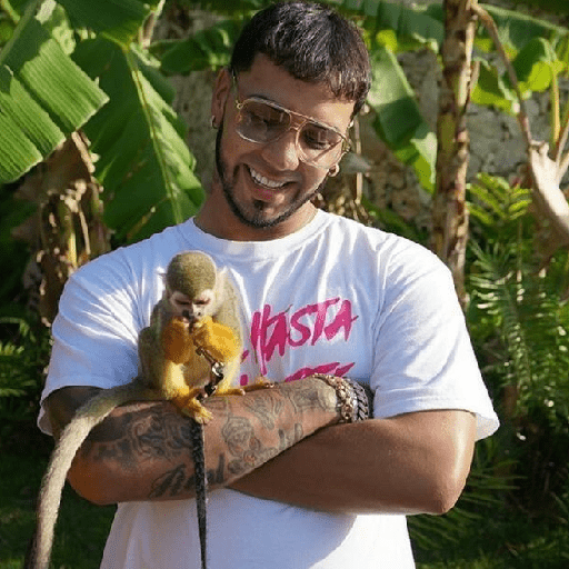 Anuel aa brrrr 2 30