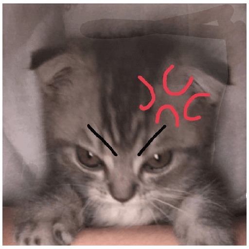 Michis 1
