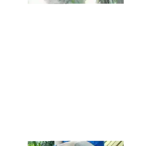 স্টিকার
