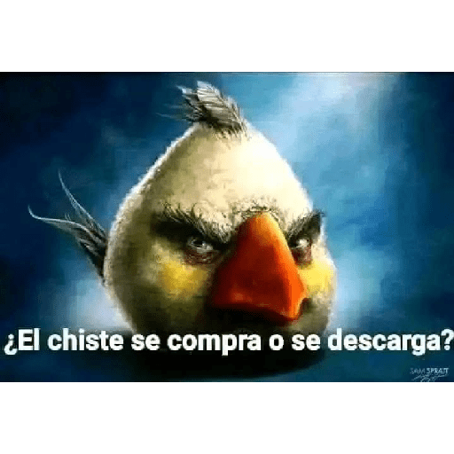 Xddd