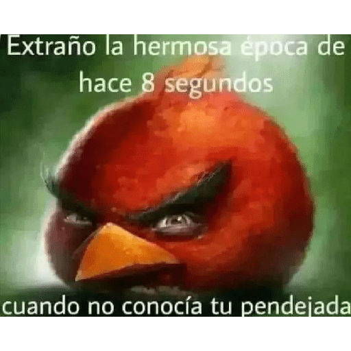 Xddd