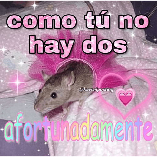 Xddd