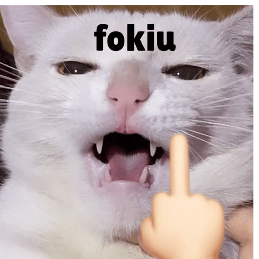 Gato 3