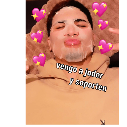 Gato 9