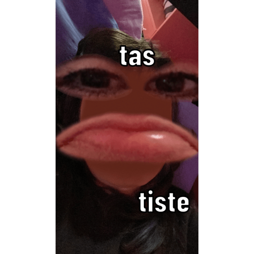 Gato 16