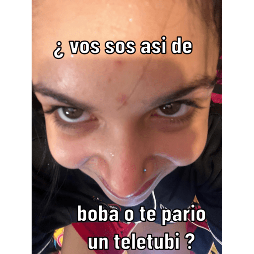 Gato 13