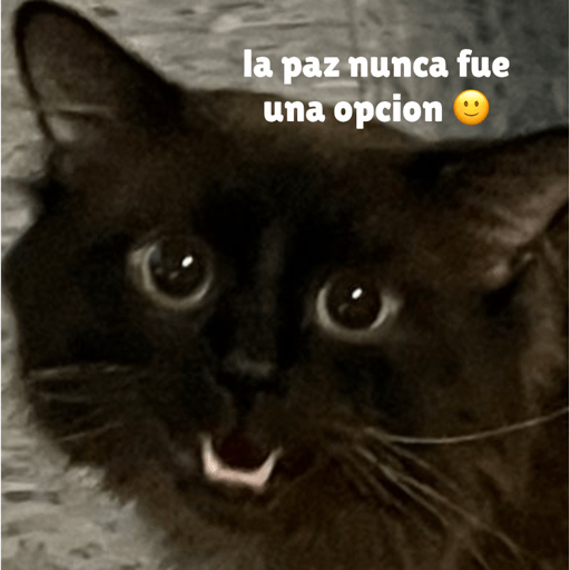 Gato 2