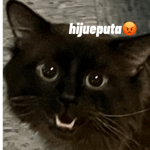 Gato 1