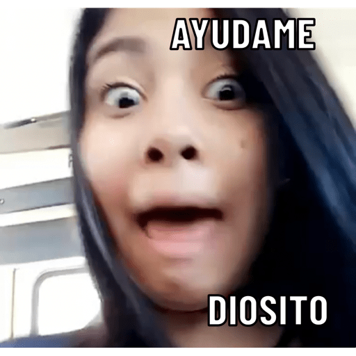 Gato 19