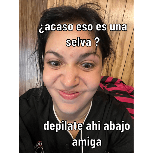 Gato 14