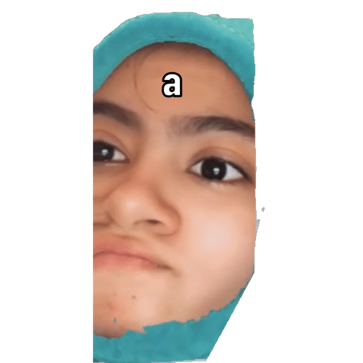 Gato 15