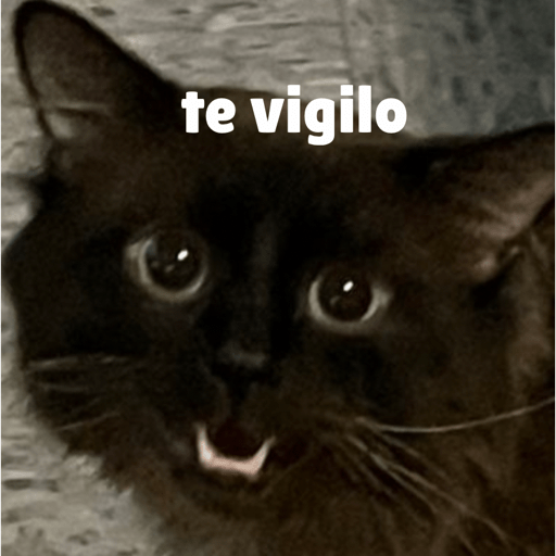 Gato 4