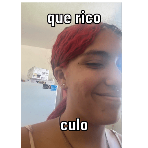 Gato 17