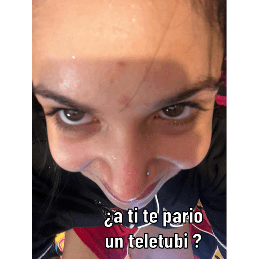 Gato 12