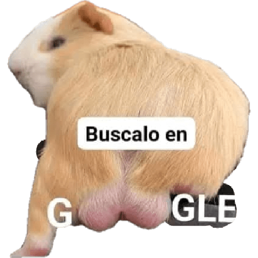 ₪ƤιrrιXXXGod 18