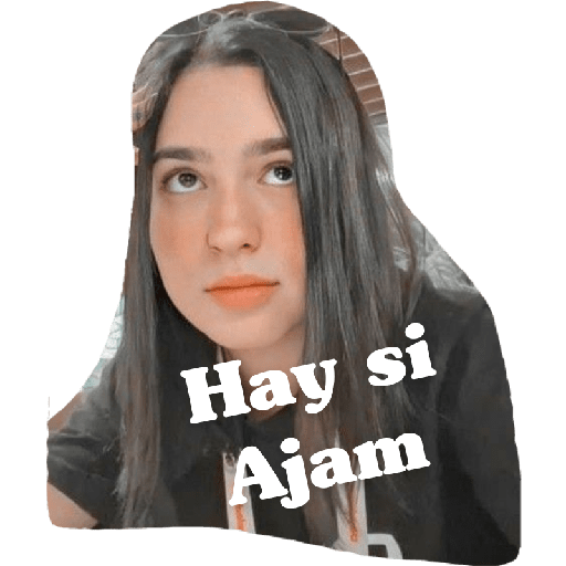 Sticker Image