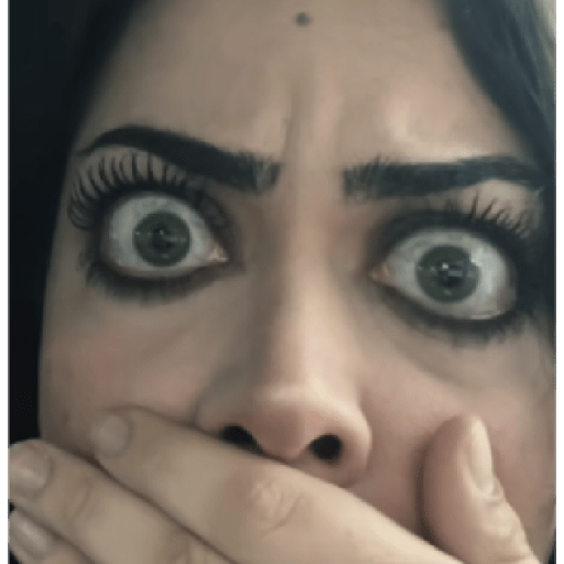 Tiktok Memes 16