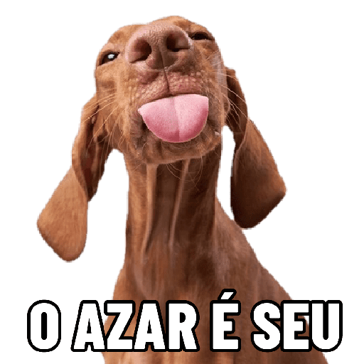 Dogs