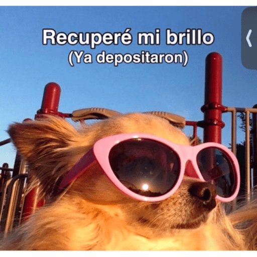 Mis pegatinas  5