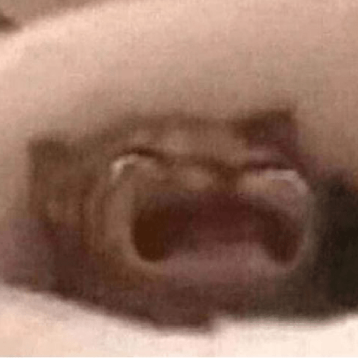 Cat 8
