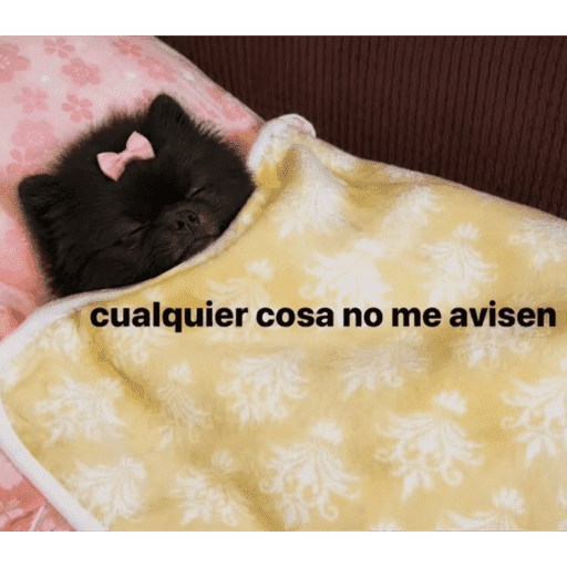 Mis pegatinas 28