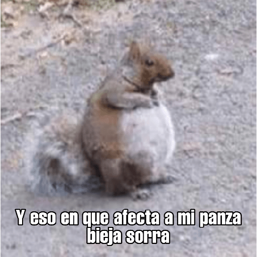 Randoms 2 11