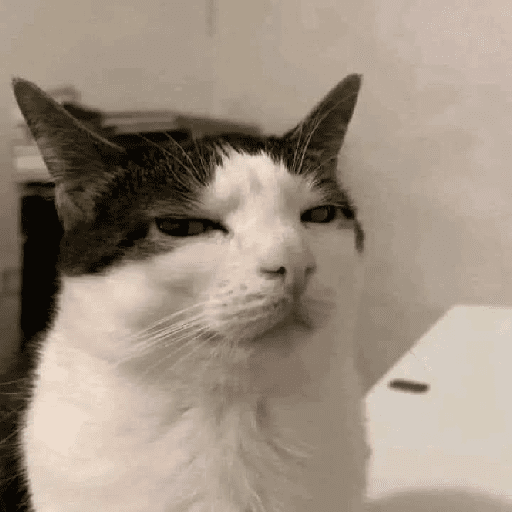 Catss 25