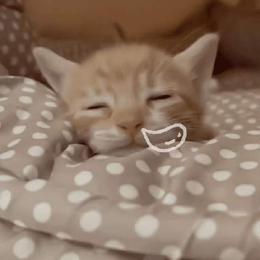 Catss 18