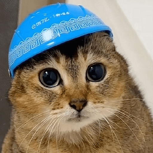 Catss 16