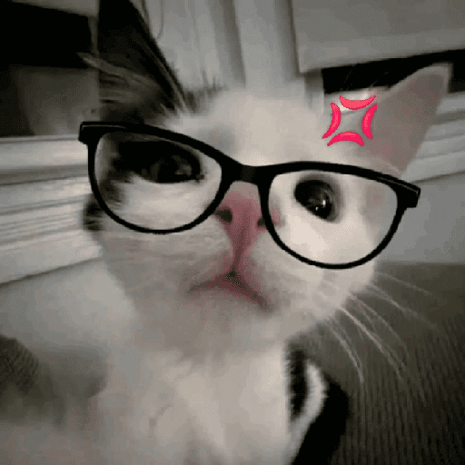 Catss 1