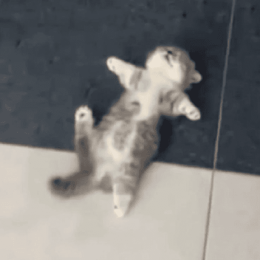Catss 5