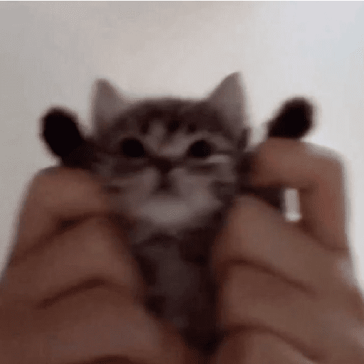Catss 6