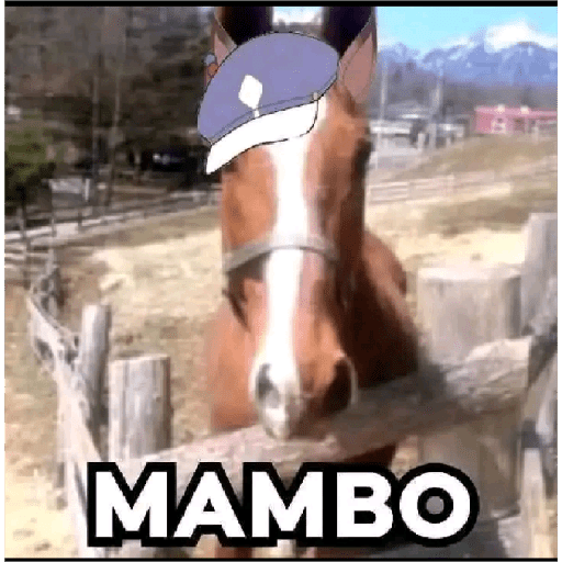 Umamusume GOD 12