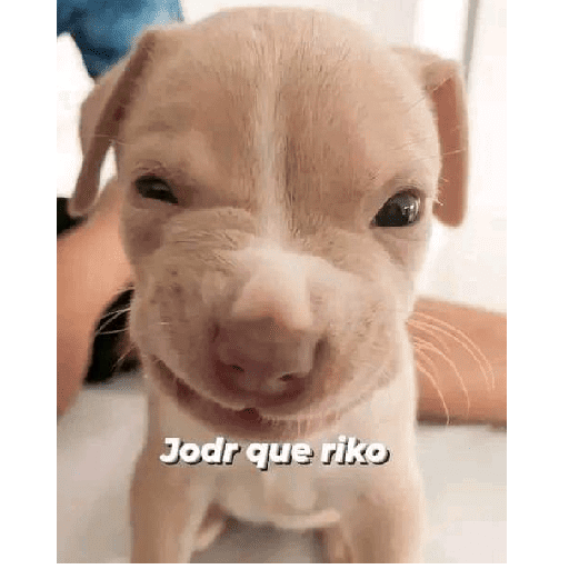 Yawe sígueme en ig wetira paro 5