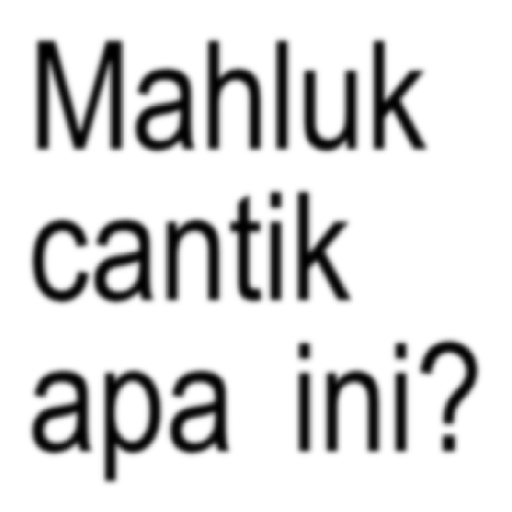 Anomali Kata-Kata Brat Text 3