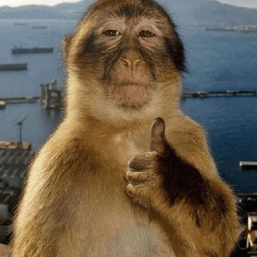 Meme Tiktok Reaction (4) 12