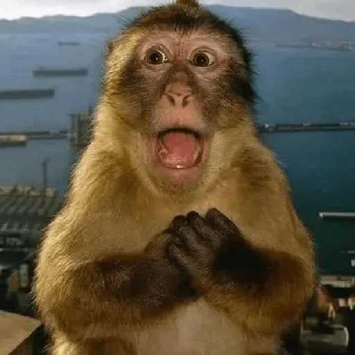 Meme Tiktok Reaction (4) 11