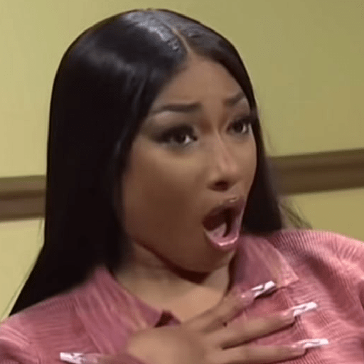 TIKTOK REACTION MEME 13