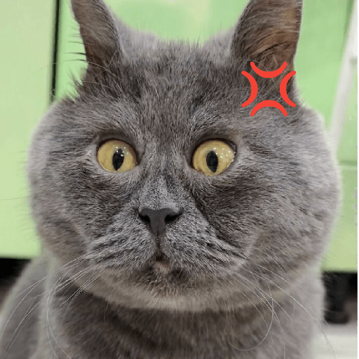 MEME KUCING PLENGER 😹 3