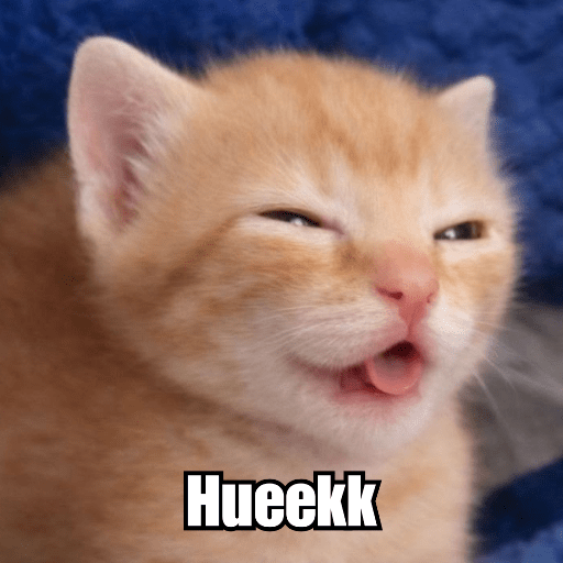 MEME KUCING PLENGER 😹 10