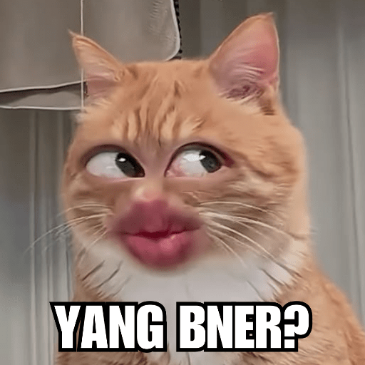 MEME KUCING PLENGER 😹 4