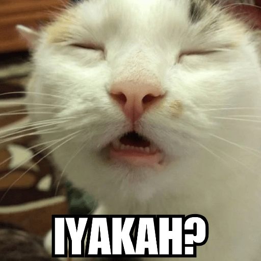 MEME KUCING PLENGER 😹 12