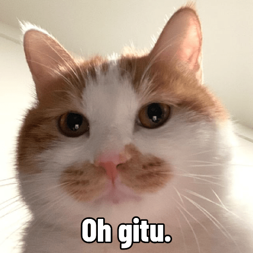MEME KUCING PLENGER 😹 11