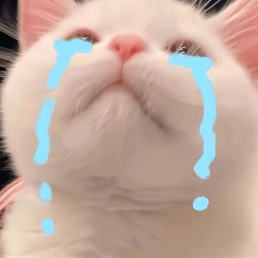 MEME KUCING PLENGER 😹 6