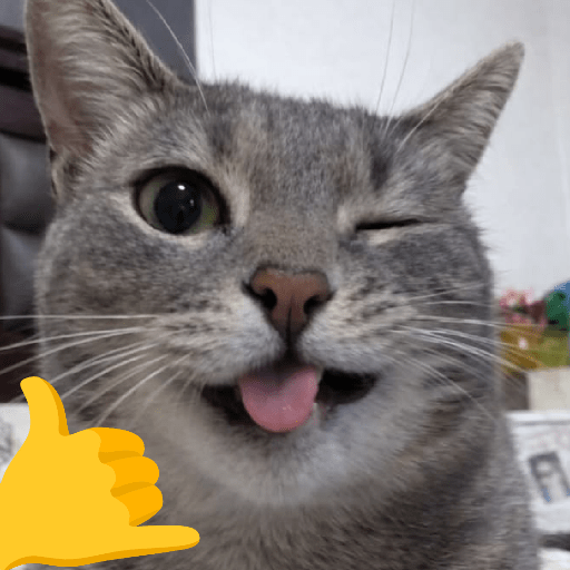 MEME KUCING PLENGER 😹 9