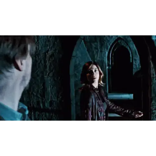 Harry Potter pt2 8