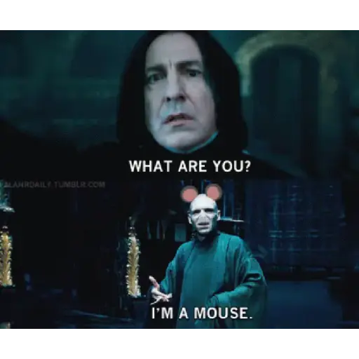 Harry Potter pt2 4