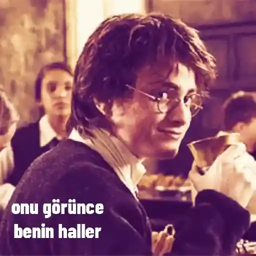 Harry Potter pt2 2